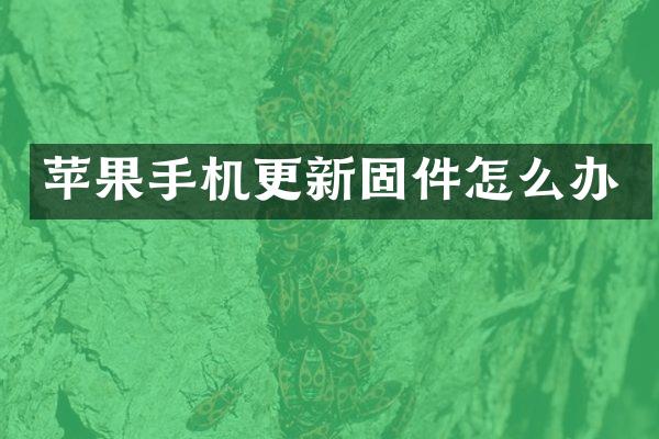 苹果手机更新固件怎么办