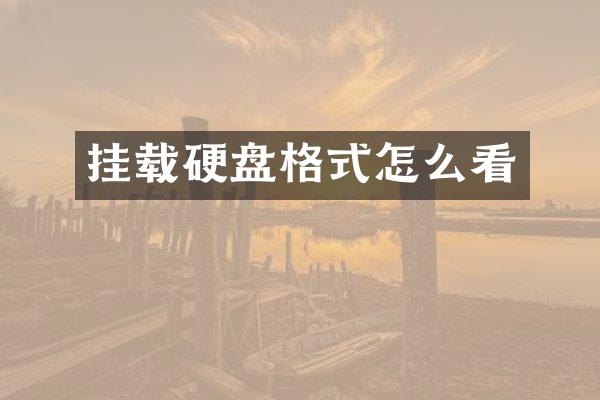 挂载硬盘格式怎么看