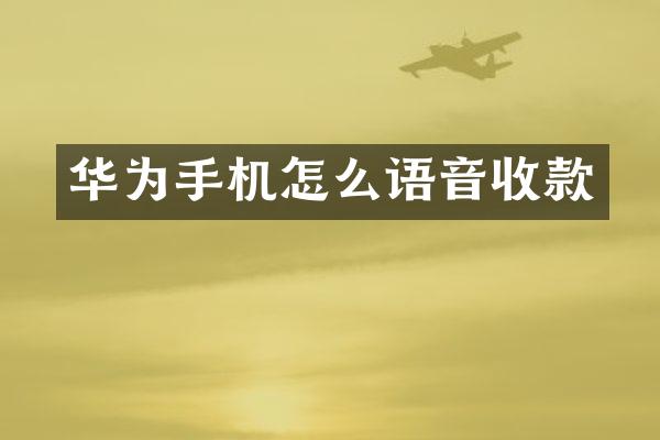 华为手机怎么语音收款