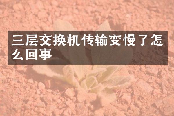 三层交换机传输变慢了怎么回事