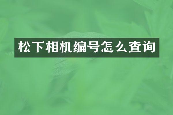 相机编号怎么查询