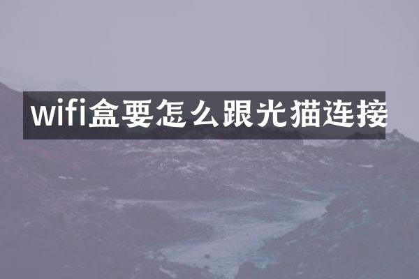 wifi盒要怎么跟光猫连接