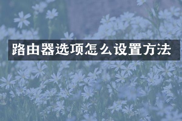 路由器选项怎么设置方法