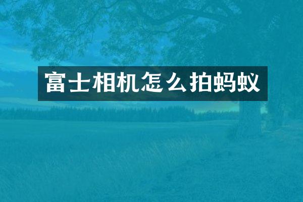 富士相机怎么拍蚂蚁