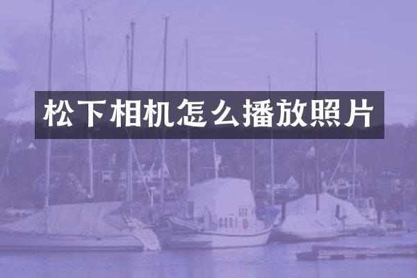 相机怎么播放照片