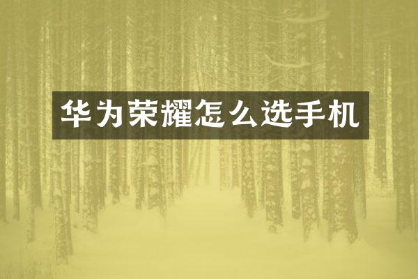 华为荣耀怎么选手机