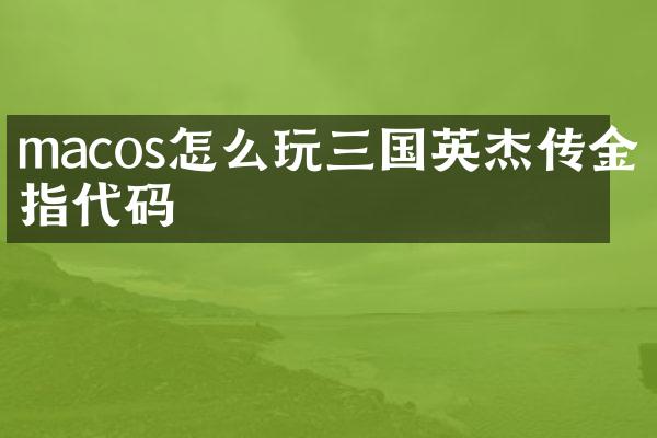 macos怎么玩三国英杰传金手指代码