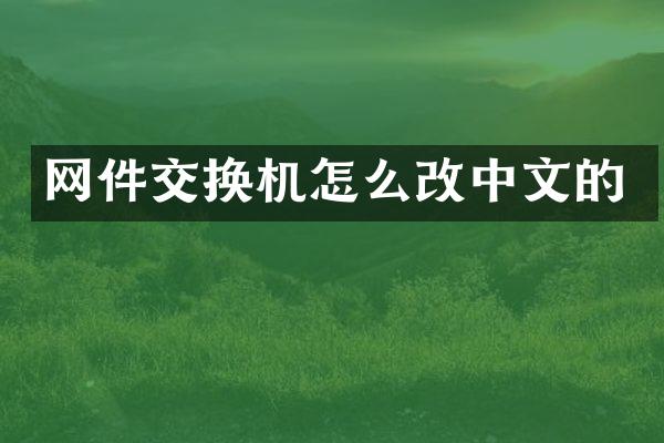 网件交换机怎么改中文的