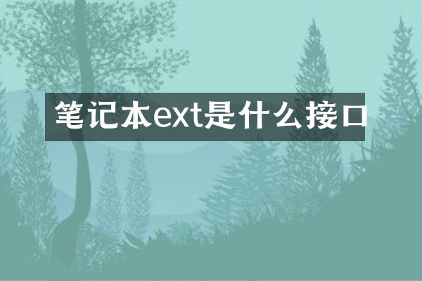 笔记本ext是什么接口