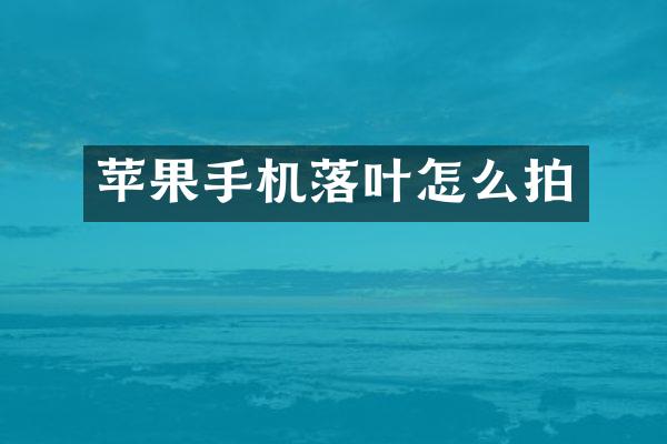 苹果手机落叶怎么拍