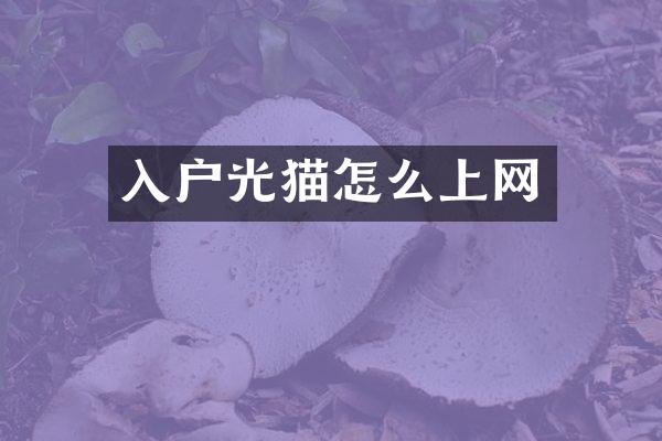 入户光猫怎么上网