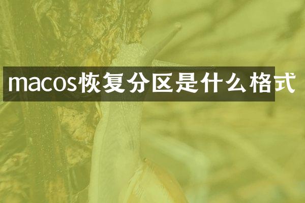 macos恢复分区是什么格式