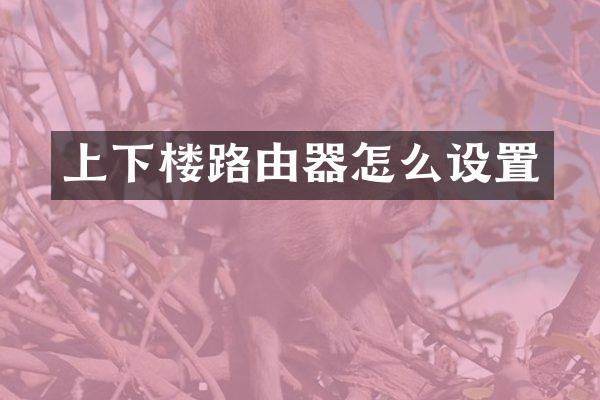 上下楼路由器怎么设置