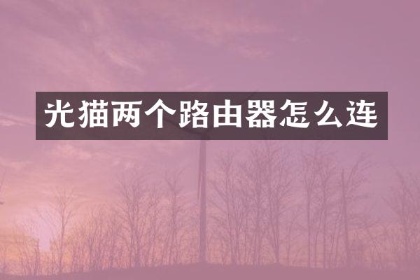 光猫两个路由器怎么连