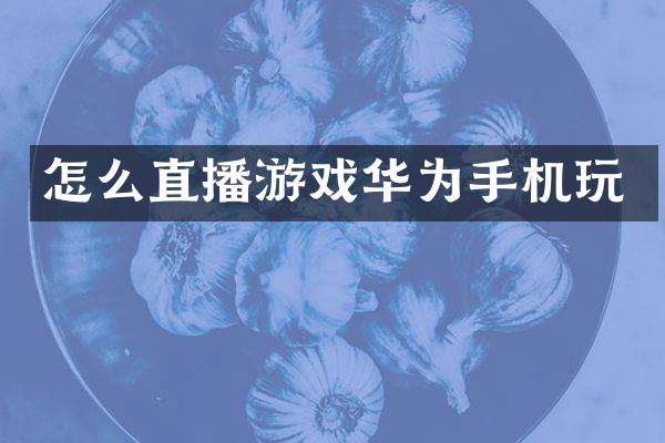 怎么直播游戏华为手机玩