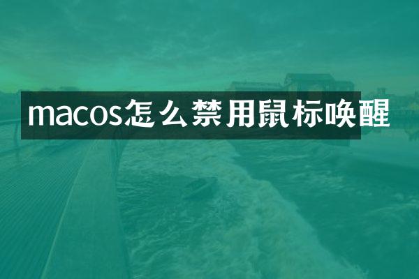 macos怎么禁用鼠标唤醒
