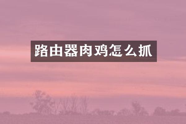 路由器肉鸡怎么抓