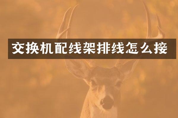 交换机配线架排线怎么接