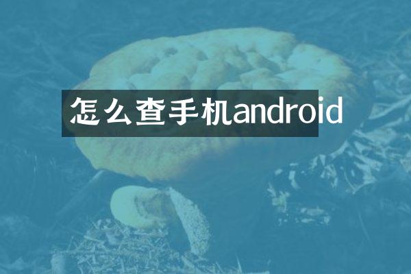 怎么查手机android