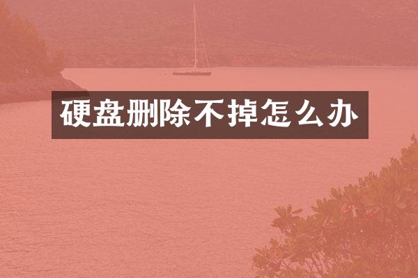 硬盘删除不掉怎么办