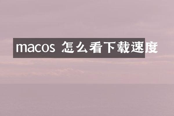 macos 怎么看下载速度