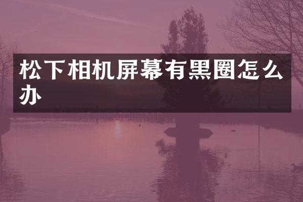 相机屏幕有黑圈怎么办