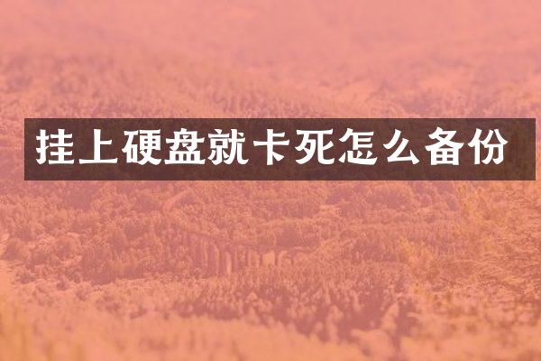 挂上硬盘就卡死怎么备份