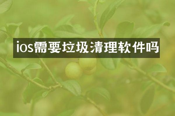 ios需要垃圾清理软件吗