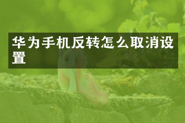 华为手机反转怎么取消设置