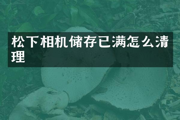 相机储存已满怎么清理