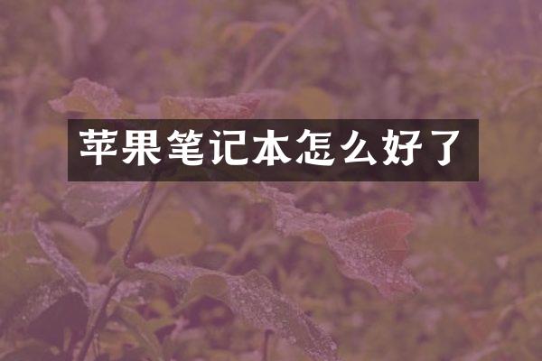 苹果笔记本怎么好了