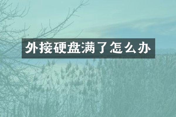 外接硬盘满了怎么办