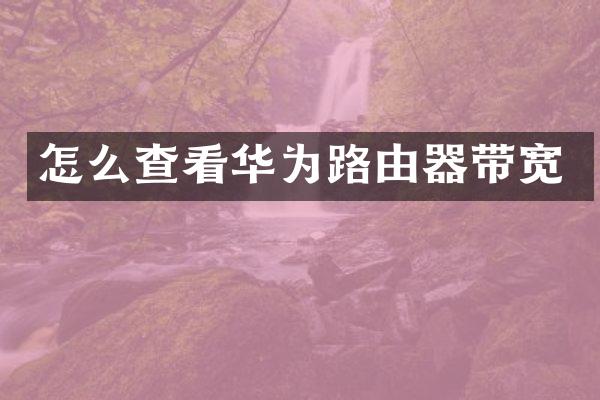 怎么查看华为路由器带宽