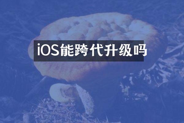 iOS能跨代升级吗
