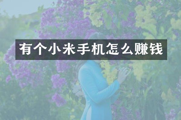 有个小米手机怎么赚钱