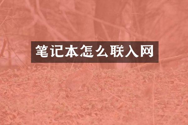 笔记本怎么联入网