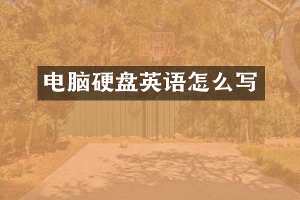 电脑硬盘英语怎么写