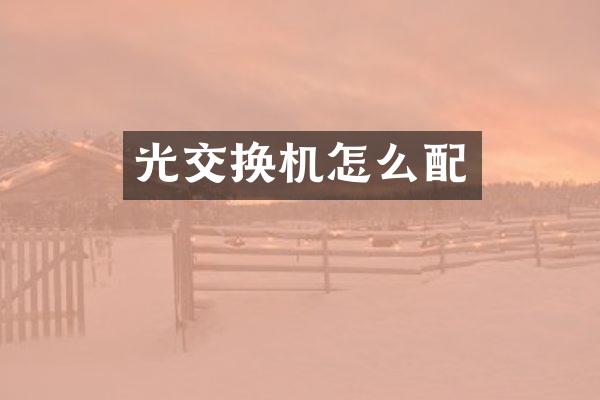 光交换机怎么配