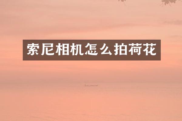 相机怎么拍荷花