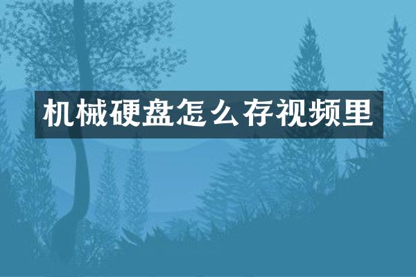 机械硬盘怎么存视频里