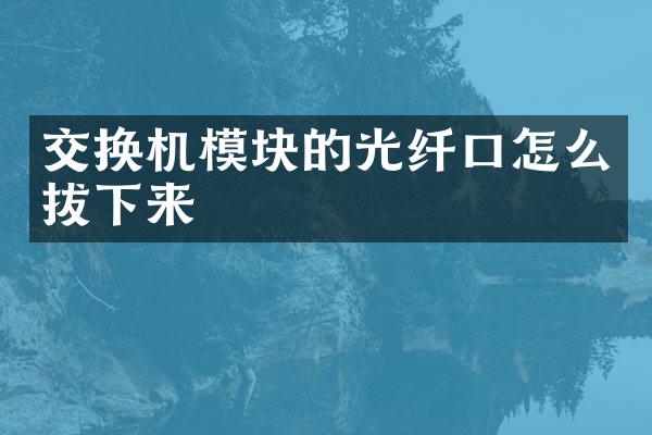 交换机模块的光纤口怎么拔下来