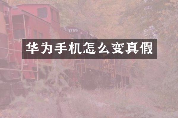 华为手机怎么变真假