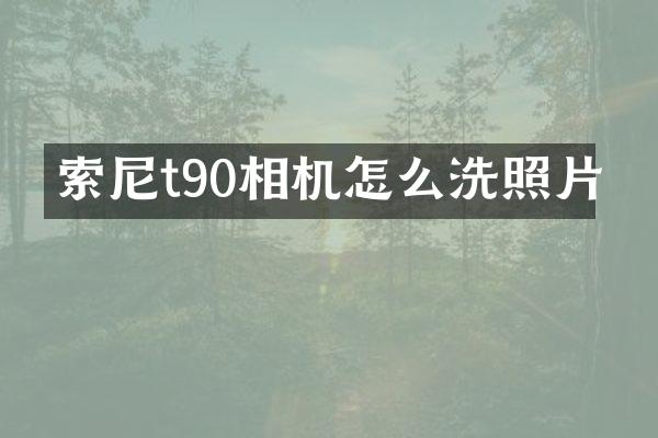 t90相机怎么洗照片