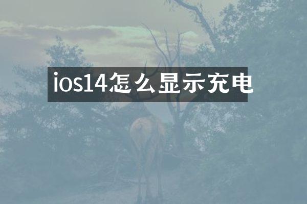 ios14怎么显示充电