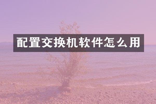 配置交换机软件怎么用