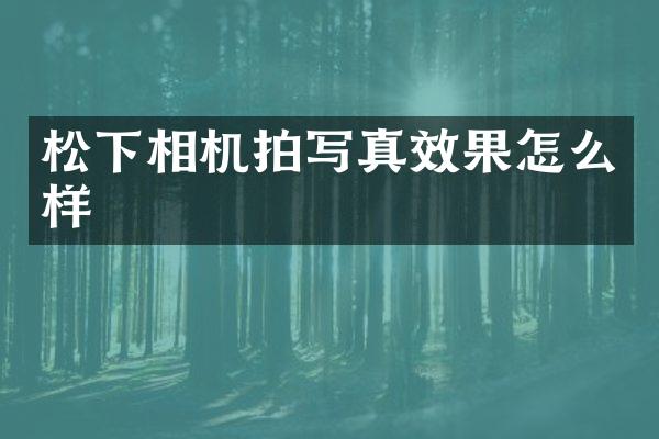 相机拍写真效果怎么样