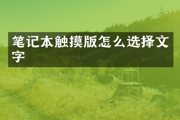 笔记本触摸版怎么选择文字
