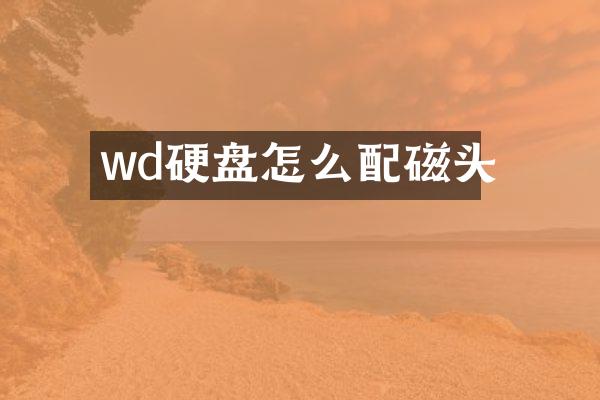 wd硬盘怎么配磁头