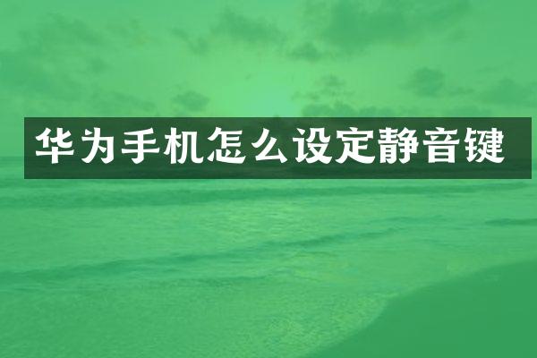 华为手机怎么设定静音键