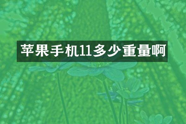 苹果手机11多少重量啊